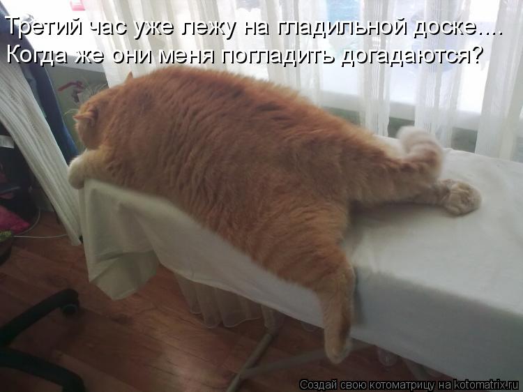 Третий час уже лежу на гладильной доске.... Когда же они меня погладить догадаются?... Котоматрица: Третий час уже лежу на гладильной доске.... Когда же они меня погладить догадаются?