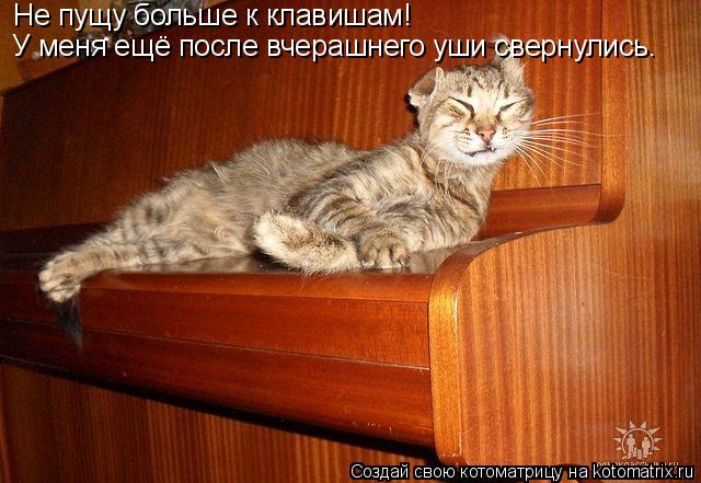 Не пущу больше к клавишам! У меня ещё после вчерашнего уши свернулись.... Котоматрица: Не пущу больше к клавишам! У меня ещё после вчерашнего уши свернулись.