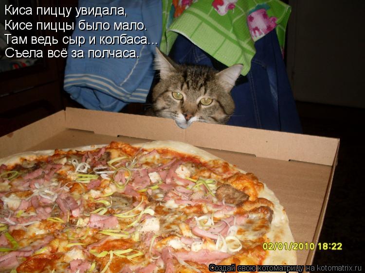 Киса пиццу увидала, Кисе пиццы было мало. Там ведь сыр и колбаса... Съела всё за полчаса.... Котоматрица: Киса пиццу увидала, Кисе пиццы было мало. Там ведь сыр и колбаса... Съела всё за полчаса.