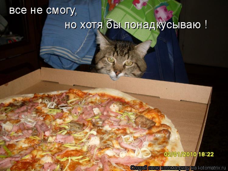 все не смогу, но хотя бы понадкусываю !... Котоматрица: все не смогу, но хотя бы понадкусываю !