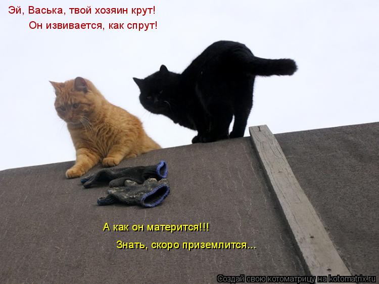 Эй, Васька, твой хозяин крут! Он извивается, как спрут! А как он матерится!!! Знать, скоро приземлитс... Котоматрица: Эй, Васька, твой хозяин крут! Он извивается, как спрут! А как он матерится!!! Знать, скоро приземлится...