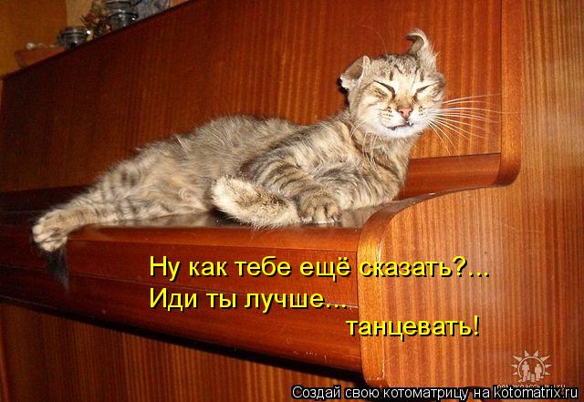 Ну как тебе ещё сказать?... Иди ты лучше... танцевать!... Котоматрица: Ну как тебе ещё сказать?... Иди ты лучше... танцевать!