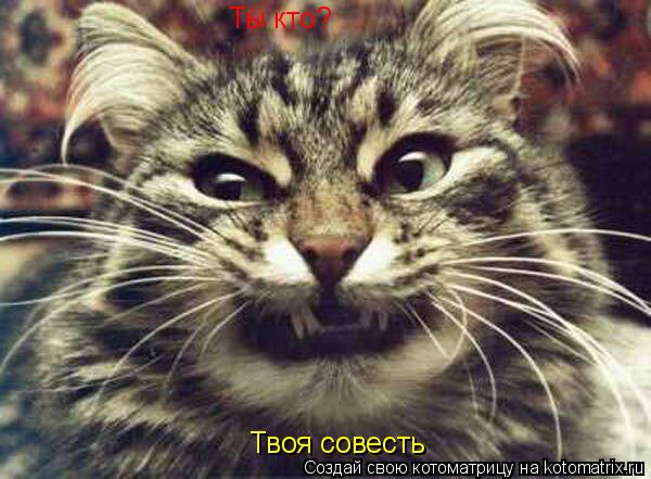 Ты кто? Твоя совесть... Котоматрица: Ты кто? Твоя совесть
