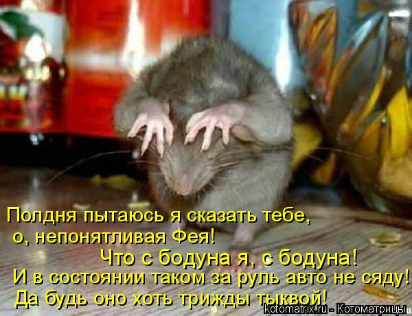Полдня пытаюсь я сказать тебе, И в состоянии таком за руль авто не сяду! Да будь оно хоть трижды тык... Котоматрица: Полдня пытаюсь я сказать тебе, И в состоянии таком за руль авто не сяду! Да будь оно хоть трижды тыквой! о, непонятливая Фея! Что с бодуна я, с