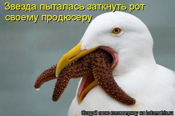 Звезда пыталась заткнуть рот своему продюсеру... Котоматрица: Звезда пыталась заткнуть рот своему продюсеру