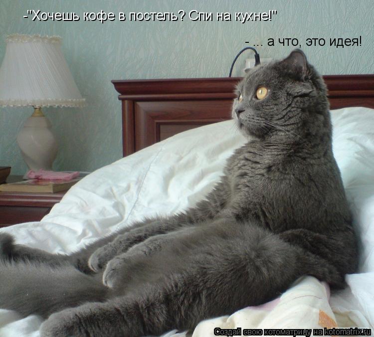 -"Хочешь кофе в постель? Спи на кухне!" - ... а что, это идея!... Котоматрица: -"Хочешь кофе в постель? Спи на кухне!" - ... а что, это идея!