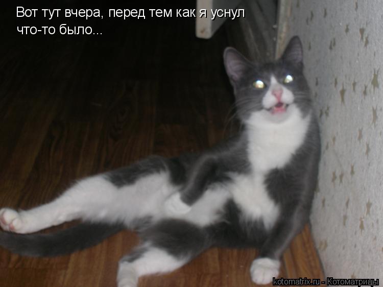 Вот тут вчера, перед тем как я уснул что-то было...... Котоматрица: Вот тут вчера, перед тем как я уснул что-то было...