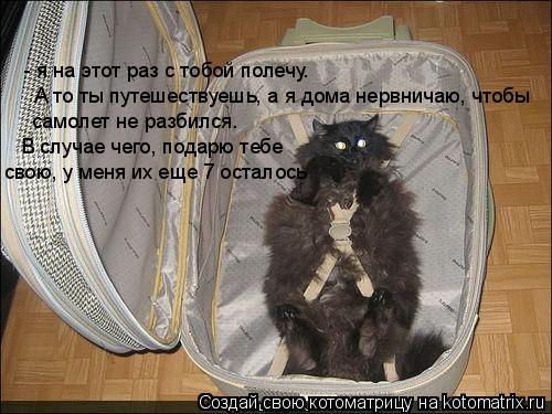 - я на этот раз с тобой полечу. А то ты путешествуешь, а я дома нервничаю, чтобы самолет не разбилс... Котоматрица: - я на этот раз с тобой полечу. А то ты путешествуешь, а я дома нервничаю, чтобы самолет не разбился. В случае чего, подарю тебе свою, у меня и