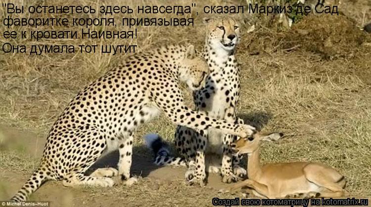 "Вы останетесь здесь навсегда", сказал Маркиз де Сад фаворитке короля, привязывая ее к кровати.Наив... Котоматрица: "Вы останетесь здесь навсегда", сказал Маркиз де Сад фаворитке короля, привязывая ее к кровати.Наивная! Она думала тот шутит