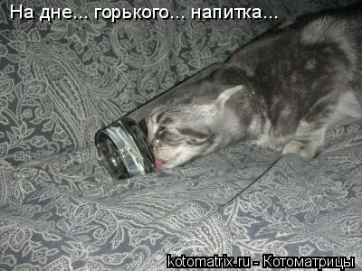 На дне... горького... напитка...... Котоматрица: На дне... горького... напитка...