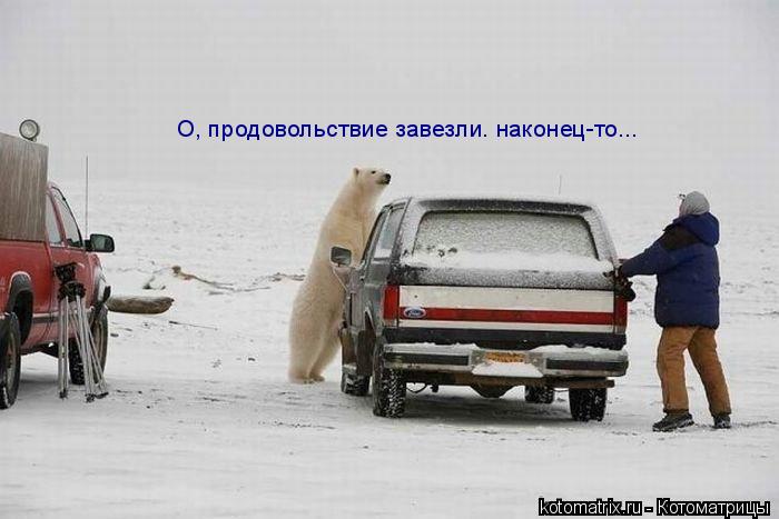 О, продовольствие завезли. наконец-то...... Котоматрица: О, продовольствие завезли. наконец-то...