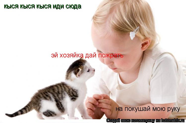 кыся кыся кыся иди сюда эй хозяйка дай пожрать на покушай мою руку... Котоматрица: кыся кыся кыся иди сюда эй хозяйка дай пожрать на покушай мою руку