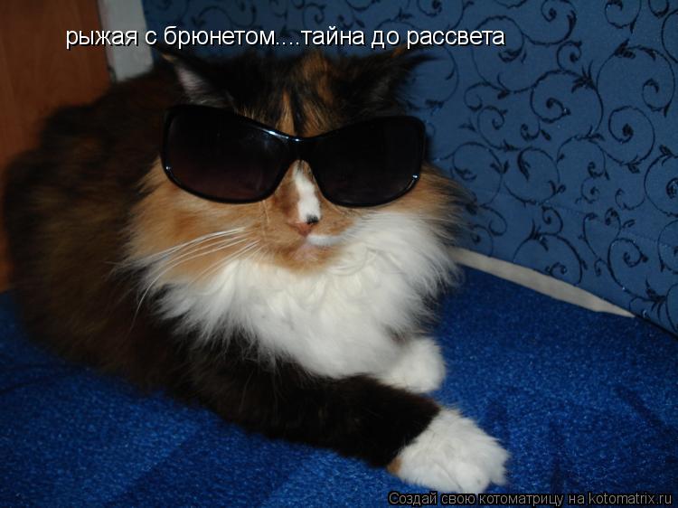 рыжая с брюнетом....тайна до рассвета... Котоматрица: рыжая с брюнетом....тайна до рассвета