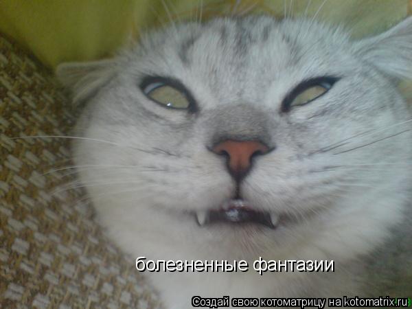 болезненные фантазии... Котоматрица: болезненные фантазии