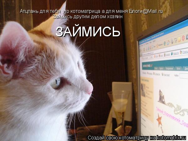 Атцтань для тебя это котоматрица а для меня Блоги@Mail.ru Займись другим делом хозяин ЗАЙМИСЬ... Котоматрица: Атцтань для тебя это котоматрица а для меня Блоги@Mail.ru Займись другим делом хозяин ЗАЙМИСЬ
