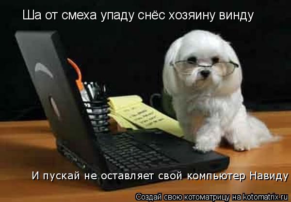 Ша от смеха упаду снёс хозяину винду И пускай не оставляет свой компьютер Навиду... Котоматрица: Ша от смеха упаду снёс хозяину винду И пускай не оставляет свой компьютер Навиду