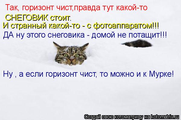 Так, горизонт чист,правда тут какой-то СНЕГОВИК стоит. И странный какой-то - с фотоаппаратом!!! ДА н... Котоматрица: Так, горизонт чист,правда тут какой-то СНЕГОВИК стоит. И странный какой-то - с фотоаппаратом!!! ДА ну этого снеговика - домой не потащит!!! Ну ,