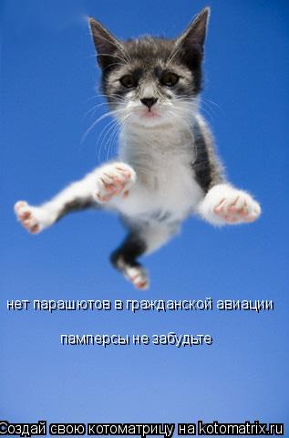 нет парашютов в гражданской авиации памперсы не забудьте... Котоматрица: нет парашютов в гражданской авиации памперсы не забудьте