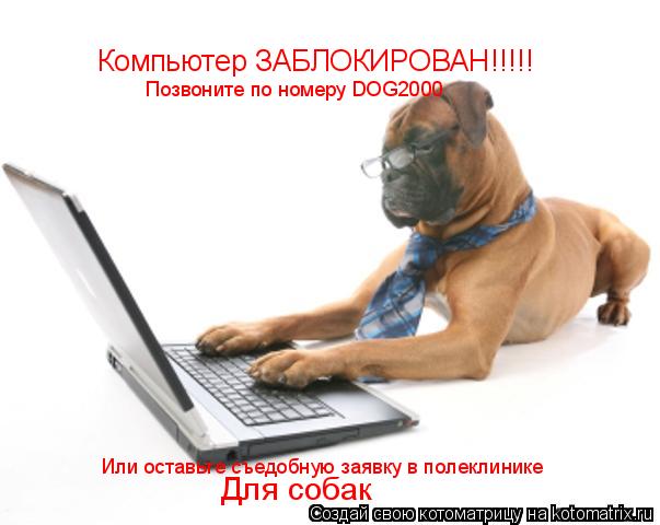 Компьютер ЗАБЛОКИРОВАН!!!!! Позвоните по номеру DOG2000 Или оставьте съедобную заявку в полеклинике ... Котоматрица: Компьютер ЗАБЛОКИРОВАН!!!!! Позвоните по номеру DOG2000 Или оставьте съедобную заявку в полеклинике Для собак