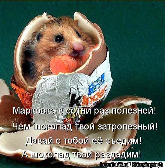 Марковка в сотни раз полезней! Чем шоколад твой затропезный! Давай с тобой её съедим! А шоколад твой ... Котоматрица: Марковка в сотни раз полезней! Чем шоколад твой затропезный! Давай с тобой её съедим! А шоколад твой раздадим!