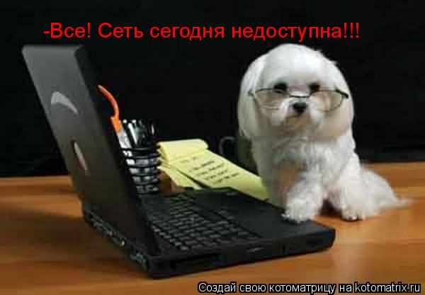 -Все! Сеть сегодня недоступна!!!... Котоматрица: -Все! Сеть сегодня недоступна!!!