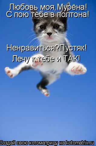Любовь моя,Мурёна! С пою тебе в полтона! Ненравиться?Пустяк! Лечу к тебе и ТАК!... Котоматрица: Любовь моя,Мурёна! С пою тебе в полтона! Ненравиться?Пустяк! Лечу к тебе и ТАК!
