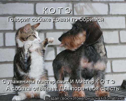 К О Т Э Говорит собаке довай по боримся А собака отвечает ДА! пора тебя сьесть С уважением Мистер см... Котоматрица: К О Т Э Говорит собаке довай по боримся А собака отвечает ДА! пора тебя сьесть С уважением Мистер смит И Мистер К О Т Э