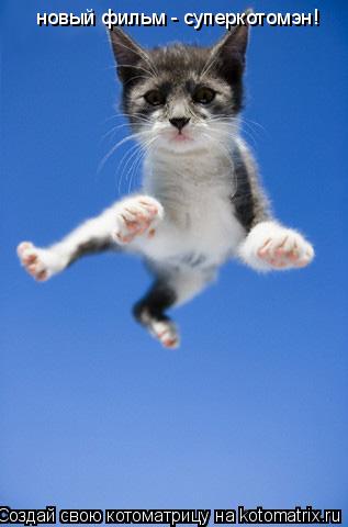 новый фильм - суперкотомэн!... Котоматрица: новый фильм - суперкотомэн!
