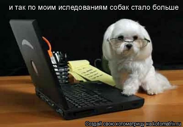 и так по моим иследованиям собак стало больше... Котоматрица: и так по моим иследованиям собак стало больше