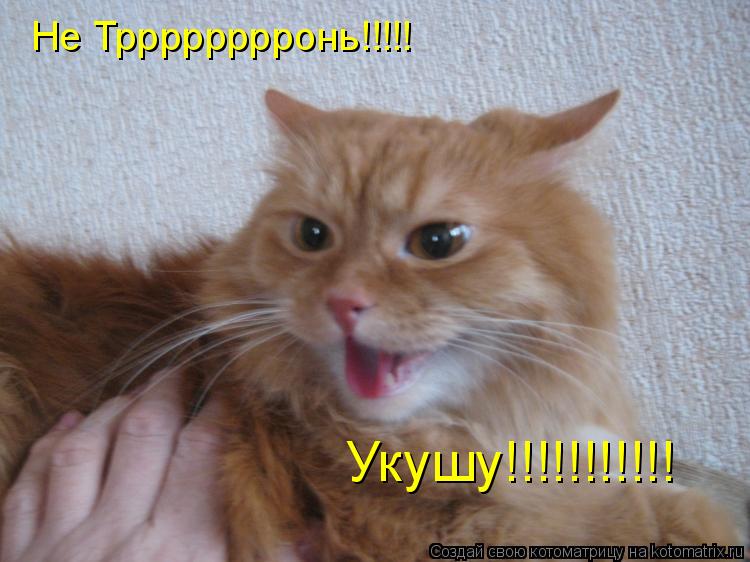 Не Трррррррронь!!!!! Укушу!!!!!!!!!!!... Котоматрица: Не Трррррррронь!!!!! Укушу!!!!!!!!!!!
