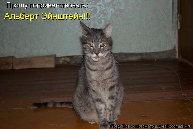 Прошу поприветствовать: Альберт Эйнштейн!!!... Котоматрица: Прошу поприветствовать: Альберт Эйнштейн!!!