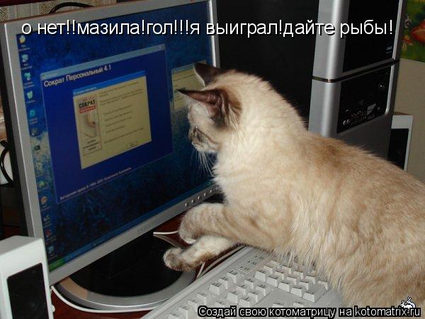 о нет!!мазила!гол!!!я выиграл!дайте рыбы!... Котоматрица: о нет!!мазила!гол!!!я выиграл!дайте рыбы!