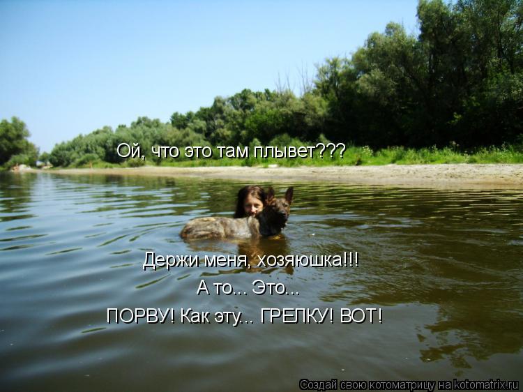 Ой, что это там плывет??? Держи меня, хозяюшка!!! А то... Это... ПОРВУ! Как эту... ГРЕЛКУ! ВОТ!... Котоматрица: Ой, что это там плывет??? Держи меня, хозяюшка!!! А то... Это... ПОРВУ! Как эту... ГРЕЛКУ! ВОТ!