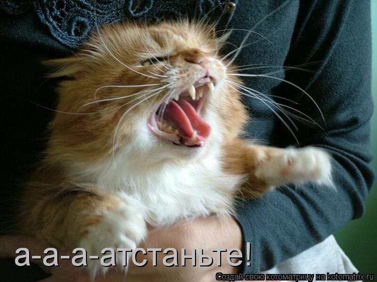 а-а-а-атстаньте! а-а-а-атстаньте! а-а-а-атстаньте!... Котоматрица: а-а-а-атстаньте! а-а-а-атстаньте! а-а-а-атстаньте!