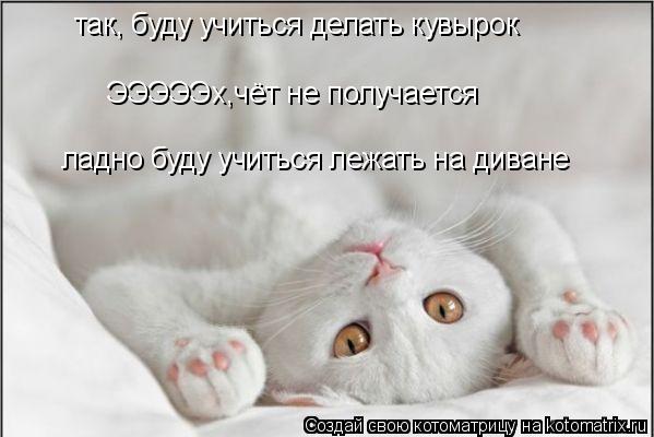 так, буду учиться делать кувырок ЭЭЭЭЭх,чёт не получается ладно буду учиться лежать на диване... Котоматрица: так, буду учиться делать кувырок ЭЭЭЭЭх,чёт не получается ладно буду учиться лежать на диване