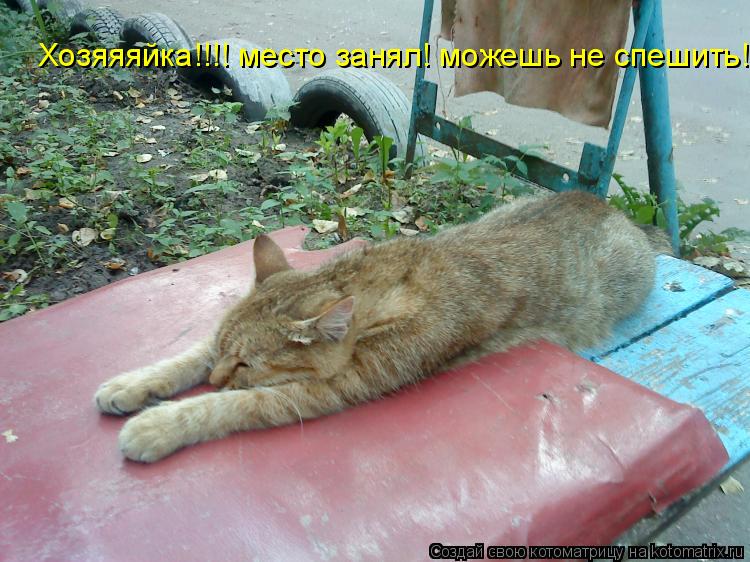 Хозяяяйка!!!! место занял! можешь не спешить!... Котоматрица: Хозяяяйка!!!! место занял! можешь не спешить!