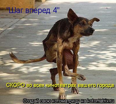 "Шаг вперед 4" СКОРО во всех кинотеатрах вашего города... Котоматрица: "Шаг вперед 4" СКОРО во всех кинотеатрах вашего города