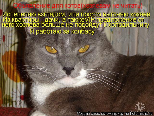Объявление для котов(хозяевам не читать) Испепеляю взглядом, или просто выгоняю хозяев него хозяева ... Котоматрица: Объявление для котов(хозяевам не читать) Испепеляю взглядом, или просто выгоняю хозяев него хозяева больше не подойдут к холодильнику Из к