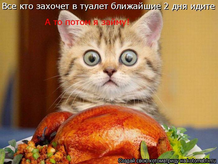 Все кто захочет в туалет ближайшие 2 дня идите А то потом я займу!... Котоматрица: Все кто захочет в туалет ближайшие 2 дня идите А то потом я займу!