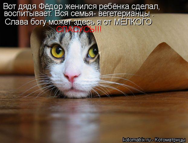 Вот дядя Фёдор женился ребёнка сделал, воспитывает. Вся семья- вегетерианцы . Слава богу может здесь ... Котоматрица: Вот дядя Фёдор женился ребёнка сделал, воспитывает. Вся семья- вегетерианцы . Слава богу может здесь я от МЕЛКОГО СПАСУСЬ!!!
