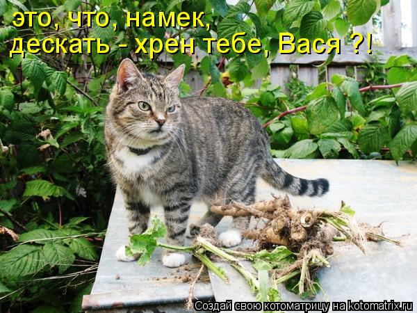 дескать - хрен тебе, Вася ?! это, что, намек,... Котоматрица: дескать - хрен тебе, Вася ?! это, что, намек,