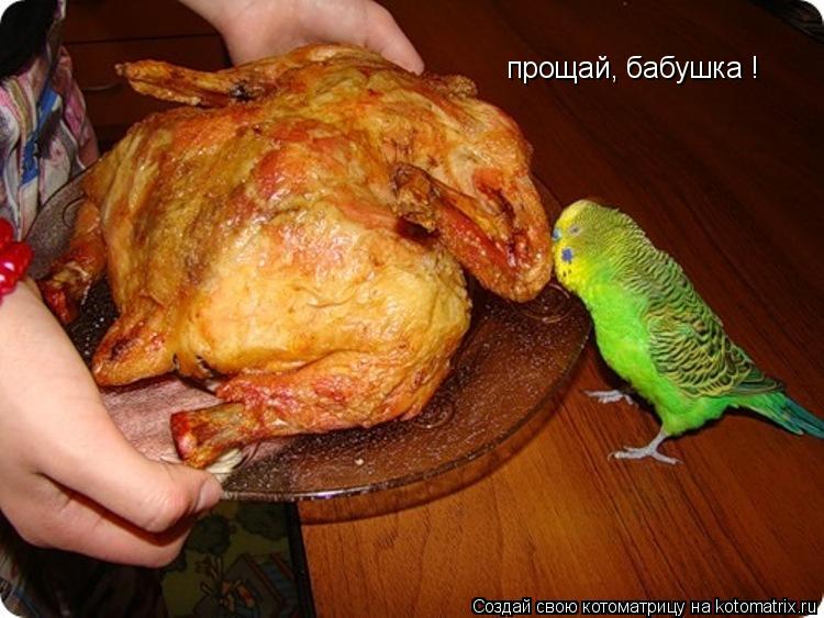 прощай, бабушка !... Котоматрица: прощай, бабушка !