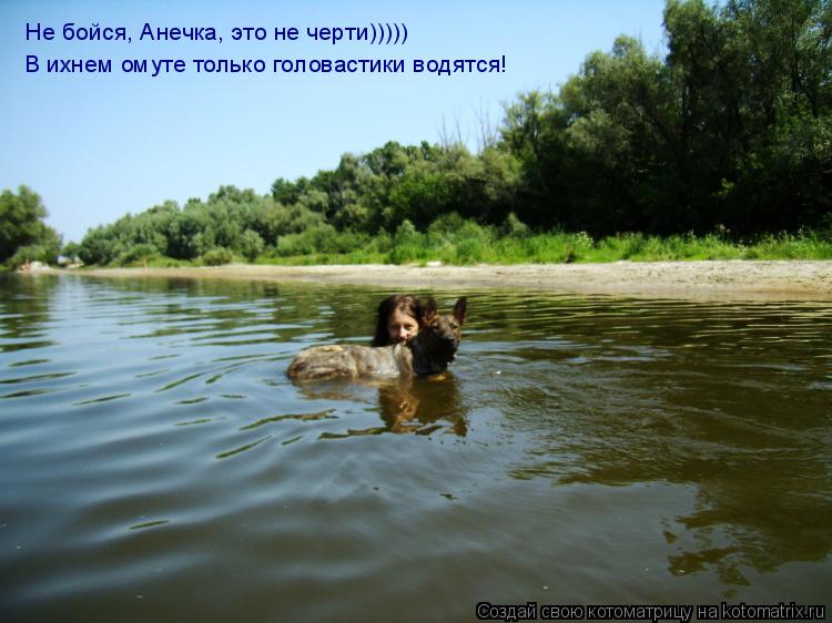 Не бойся, Анечка, это не черти))))) В ихнем омуте только головастики водятся!... Котоматрица: Не бойся, Анечка, это не черти))))) В ихнем омуте только головастики водятся!