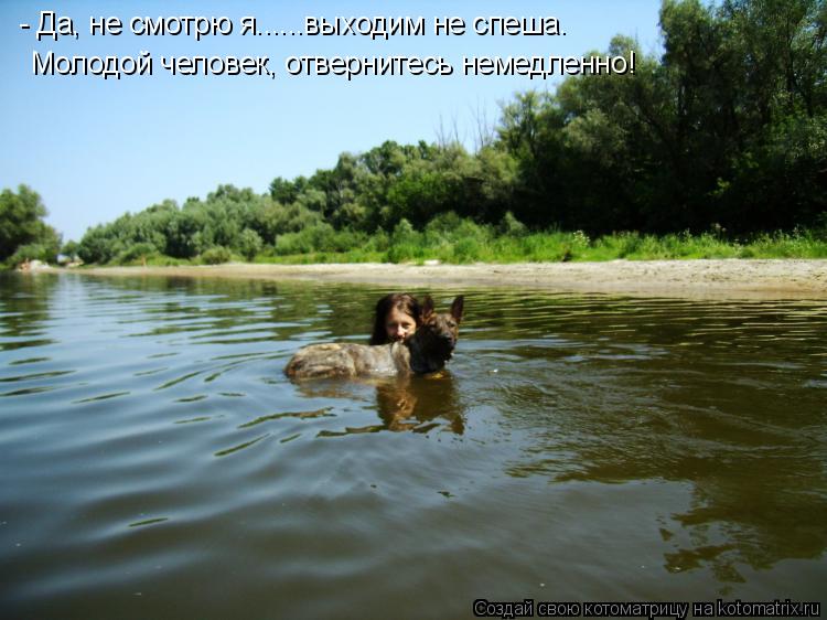 - Да, не смотрю я......выходим не спеша. Молодой человек, отвернитесь немедленно!... Котоматрица: - Да, не смотрю я......выходим не спеша. Молодой человек, отвернитесь немедленно!