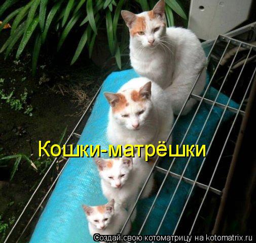 Котоматрица: Кошки-матрёшки