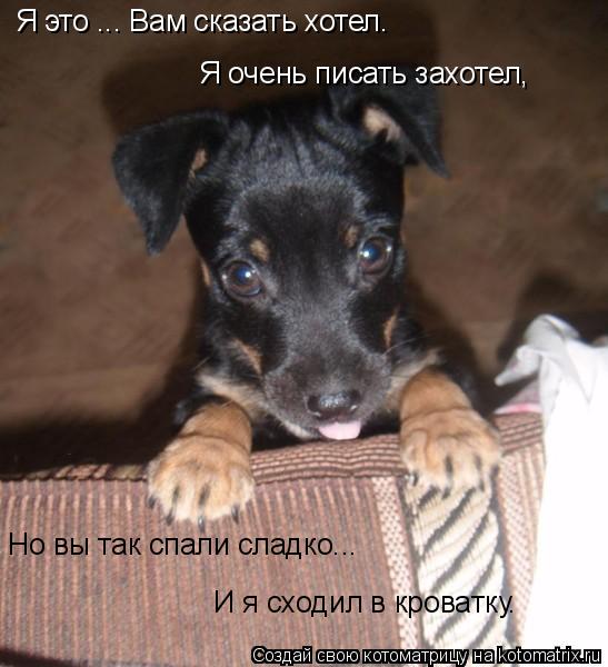 Я это ... Вам сказать хотел. Я очень писать захотел, Но вы так спали сладко... И я сходил в кроватку.... Котоматрица: Я это ... Вам сказать хотел. Я очень писать захотел, Но вы так спали сладко... И я сходил в кроватку.