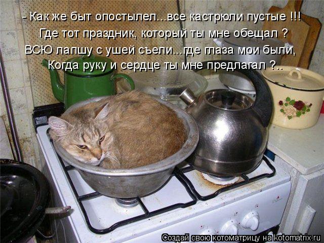 - Как же быт опостылел...все кастрюли пустые !!! Где тот праздник, который ты мне обещал ? Когда рук... Котоматрица: - Как же быт опостылел...все кастрюли пустые !!! Где тот праздник, который ты мне обещал ? Когда руку и сердце ты мне предлагал ?.. ВСЮ лапшу с уш