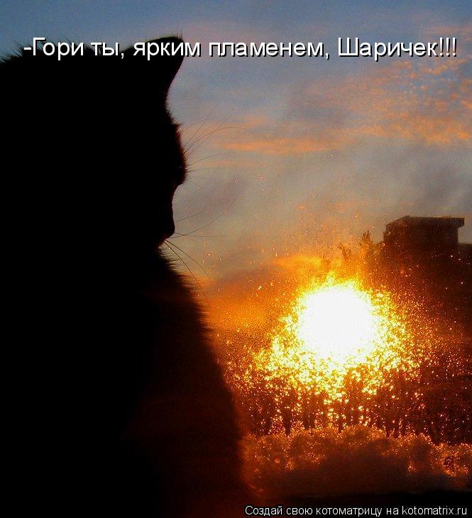 -Гори ты, ярким пламенем, Шаричек!!!... Котоматрица: -Гори ты, ярким пламенем, Шаричек!!!