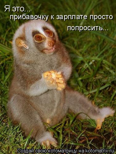 Я это... прибавочку к зарплате просто попросить...... Котоматрица: Я это... прибавочку к зарплате просто попросить...