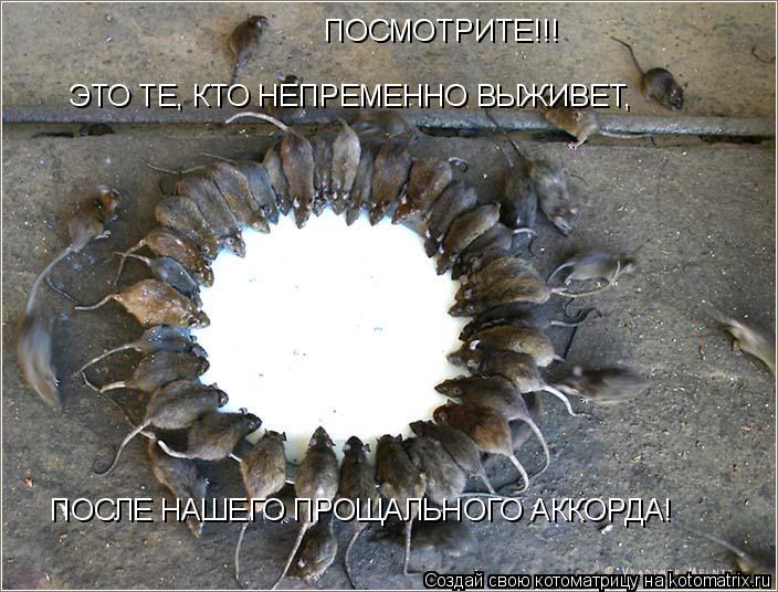 ПОСМОТРИТЕ!!! ЭТО ТЕ, КТО НЕПРЕМЕННО ВЫЖИВЕТ, ПОСЛЕ НАШЕГО ПРОЩАЛЬНОГО АККОРДА!... Котоматрица: ПОСМОТРИТЕ!!! ЭТО ТЕ, КТО НЕПРЕМЕННО ВЫЖИВЕТ, ПОСЛЕ НАШЕГО ПРОЩАЛЬНОГО АККОРДА!